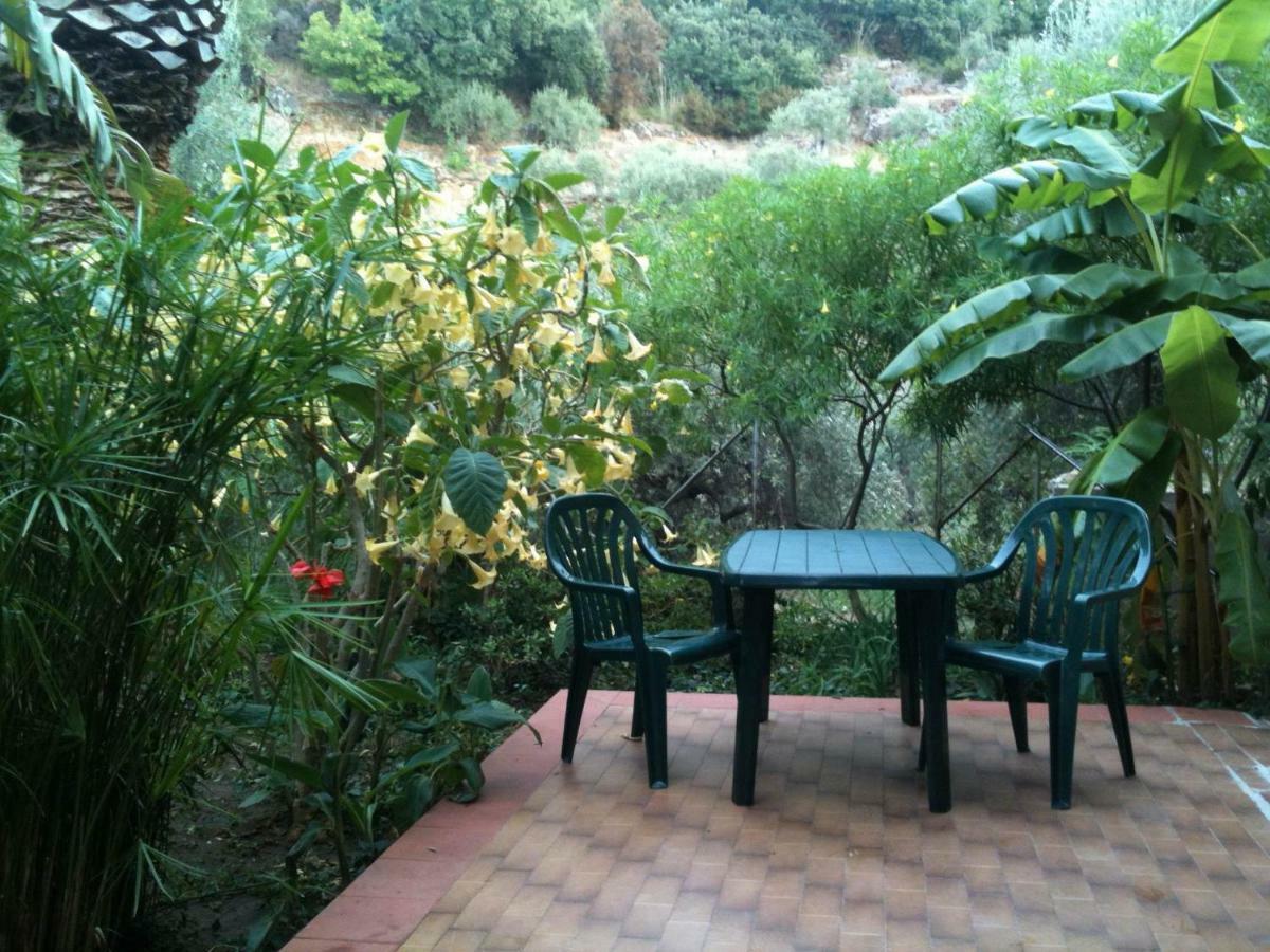 Green Villa Sand Beach Center Close Sea Veiw Cefalu Exterior photo